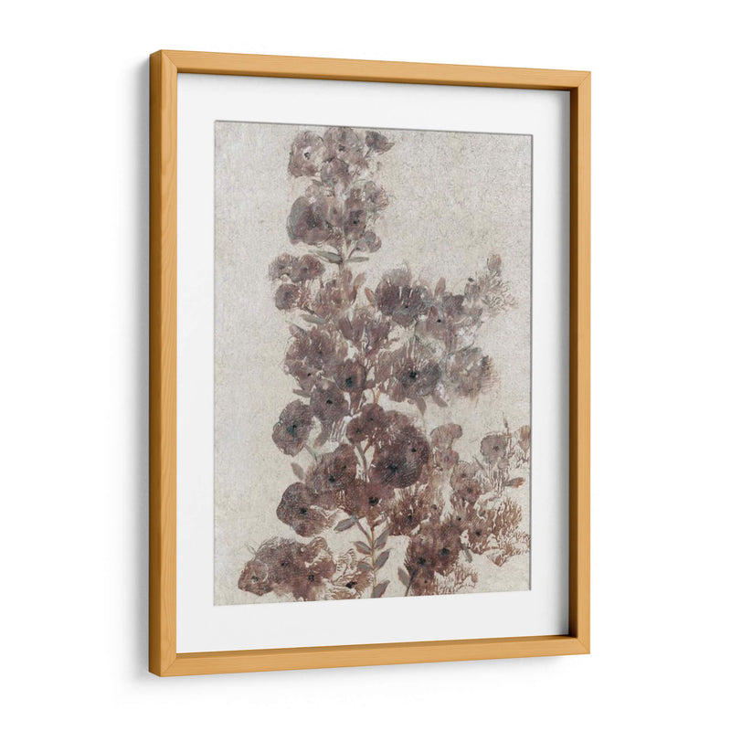 Sepia Flor Study Ii - Tim OToole | Cuadro decorativo de Canvas Lab