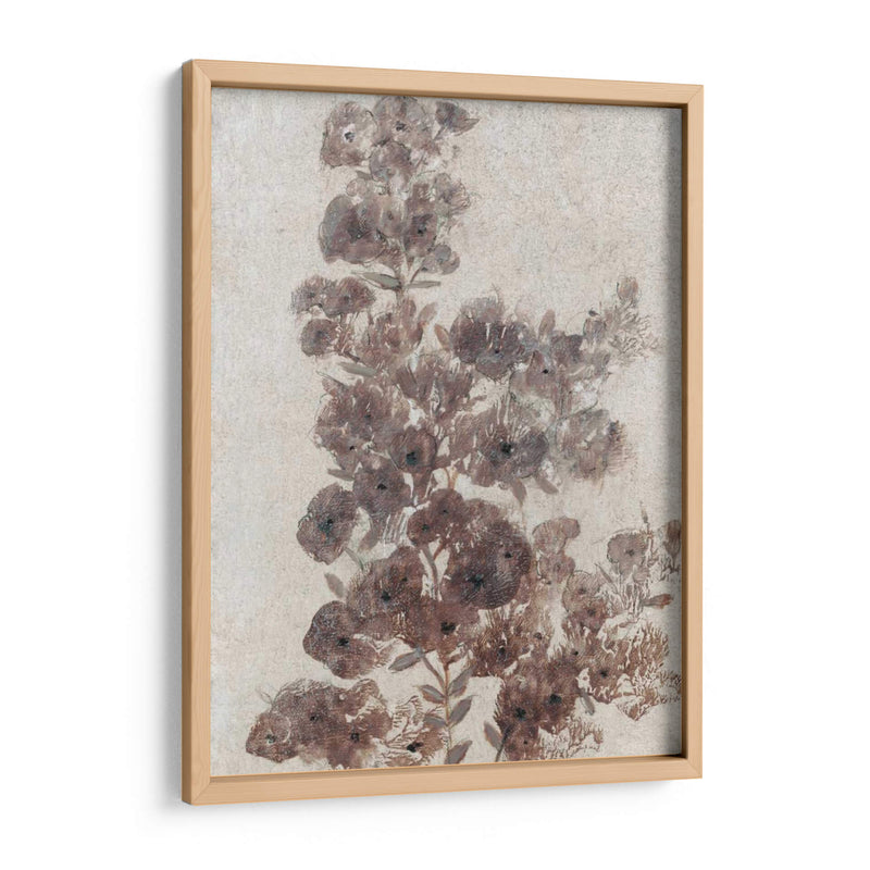 Sepia Flor Study Ii - Tim OToole | Cuadro decorativo de Canvas Lab