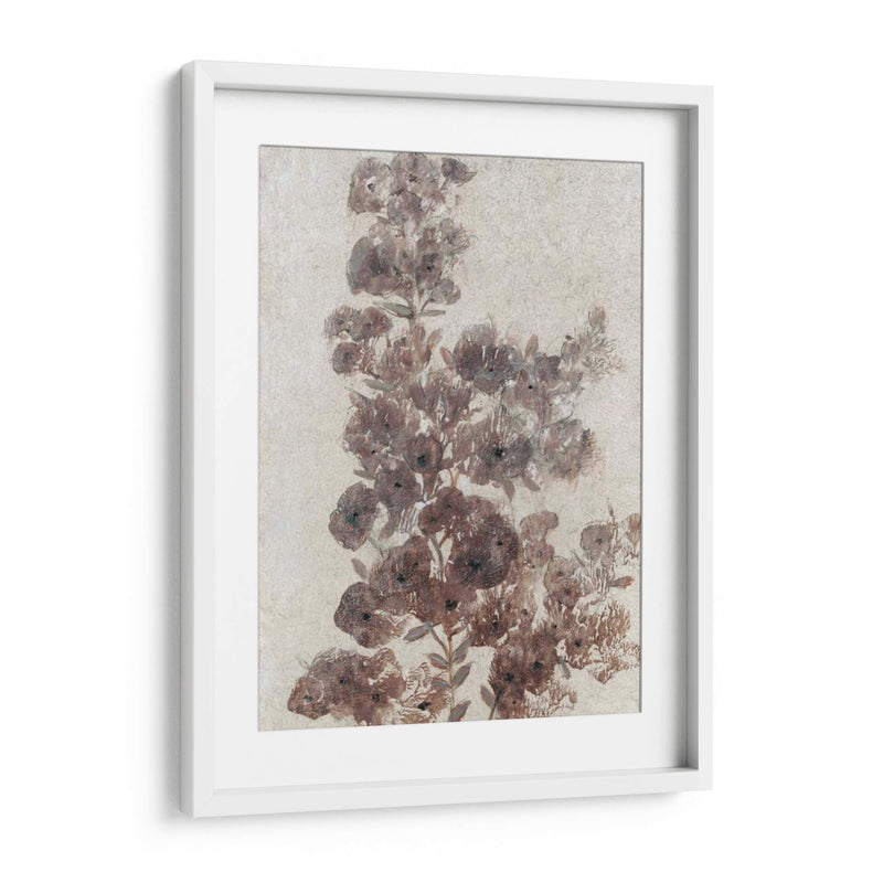 Sepia Flor Study Ii - Tim OToole | Cuadro decorativo de Canvas Lab