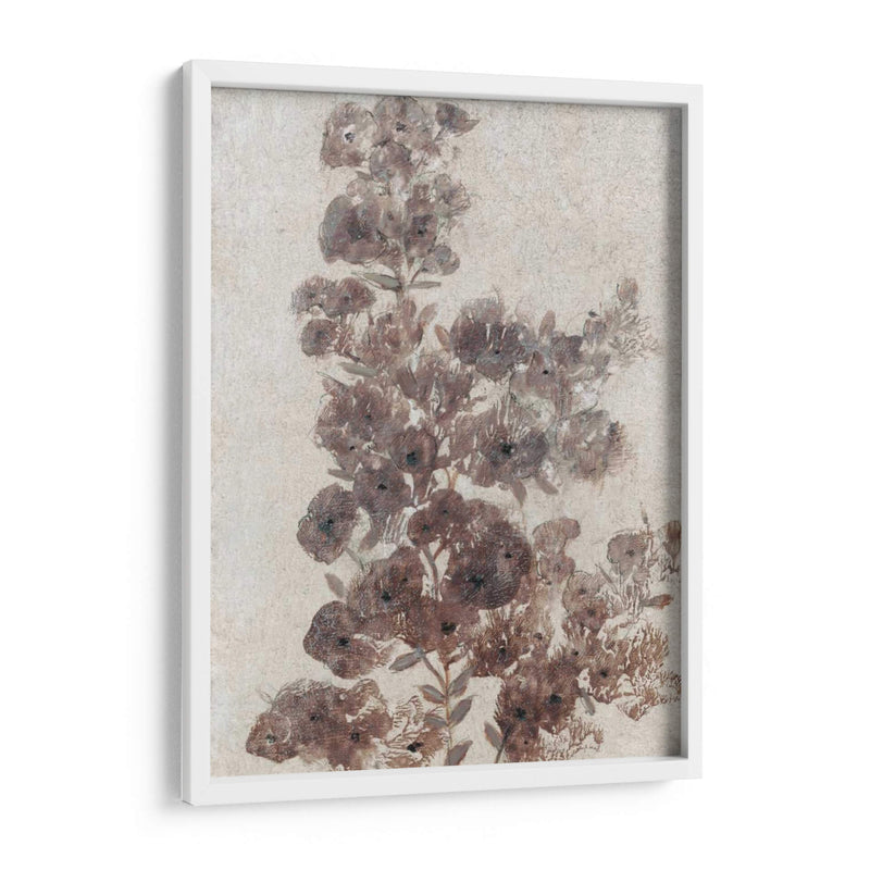 Sepia Flor Study Ii - Tim OToole | Cuadro decorativo de Canvas Lab