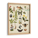 Un Paseo Por El Bosque I - Naomi McCavitt | Cuadro decorativo de Canvas Lab