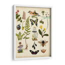 Un Paseo Por El Bosque I - Naomi McCavitt | Cuadro decorativo de Canvas Lab