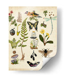 Un Paseo Por El Bosque I - Naomi McCavitt | Cuadro decorativo de Canvas Lab