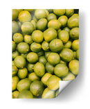 Los limones | Cuadro decorativo de Canvas Lab