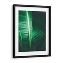 Luminosidad en la hoja | Cuadro decorativo de Canvas Lab