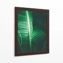 Luminosidad en la hoja | Cuadro decorativo de Canvas Lab