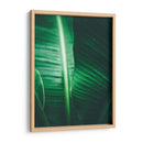 Luminosidad en la hoja | Cuadro decorativo de Canvas Lab