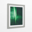 Luminosidad en la hoja | Cuadro decorativo de Canvas Lab