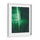 Luminosidad en la hoja | Cuadro decorativo de Canvas Lab