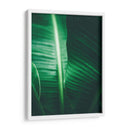 Luminosidad en la hoja | Cuadro decorativo de Canvas Lab