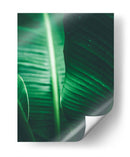 Luminosidad en la hoja | Cuadro decorativo de Canvas Lab