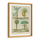 Histoire Naturelle Tropicals I - Martinet | Cuadro decorativo de Canvas Lab