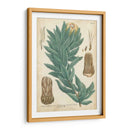 Weinmann Coníferas I - Weinmann | Cuadro decorativo de Canvas Lab