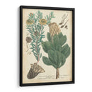 Weinmann Conifers Iii - Weinmann | Cuadro decorativo de Canvas Lab