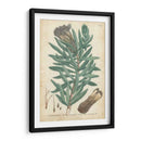 Weinmann Coníferas Iv - Weinmann | Cuadro decorativo de Canvas Lab