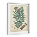 Weinmann Coníferas Iv - Weinmann | Cuadro decorativo de Canvas Lab