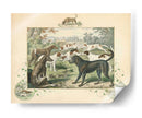 Un Grupo De Sabuesos | Cuadro decorativo de Canvas Lab