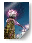 Mágico Singapur | Cuadro decorativo de Canvas Lab