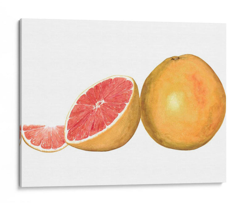 Pomelo Acuarela - Michael Willett | Cuadro decorativo de Canvas Lab