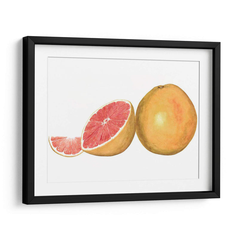 Pomelo Acuarela - Michael Willett | Cuadro decorativo de Canvas Lab