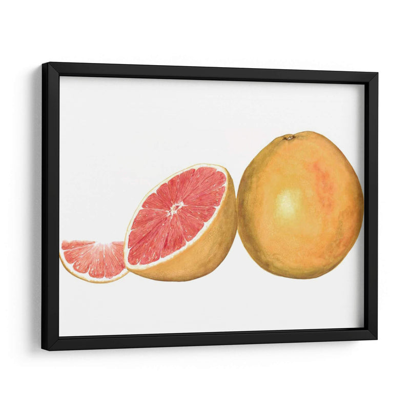 Pomelo Acuarela - Michael Willett | Cuadro decorativo de Canvas Lab