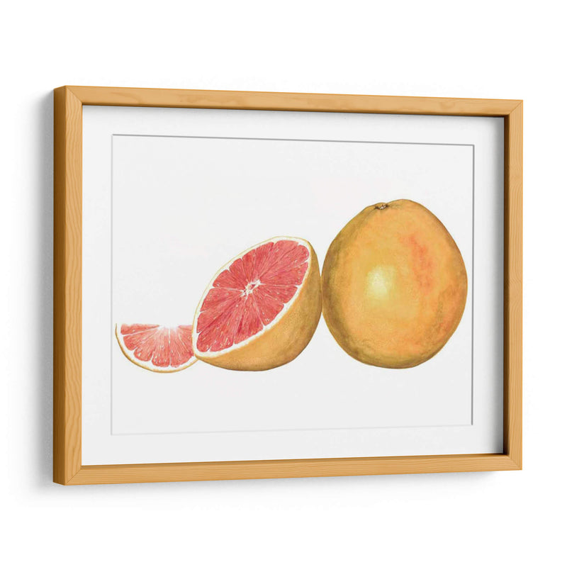 Pomelo Acuarela - Michael Willett | Cuadro decorativo de Canvas Lab