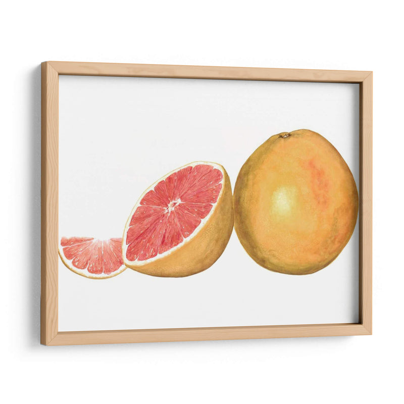 Pomelo Acuarela - Michael Willett | Cuadro decorativo de Canvas Lab