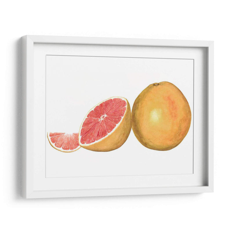 Pomelo Acuarela - Michael Willett | Cuadro decorativo de Canvas Lab