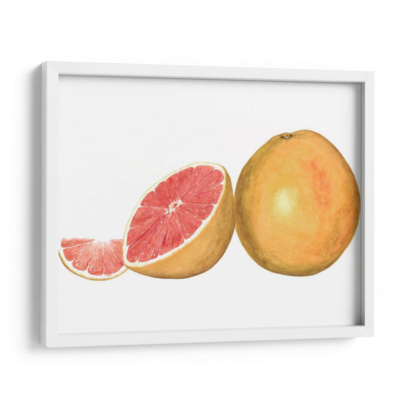 Pomelo Acuarela - Michael Willett | Cuadro decorativo de Canvas Lab