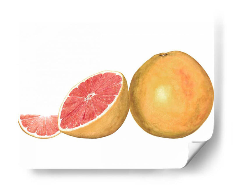 Pomelo Acuarela - Michael Willett | Cuadro decorativo de Canvas Lab