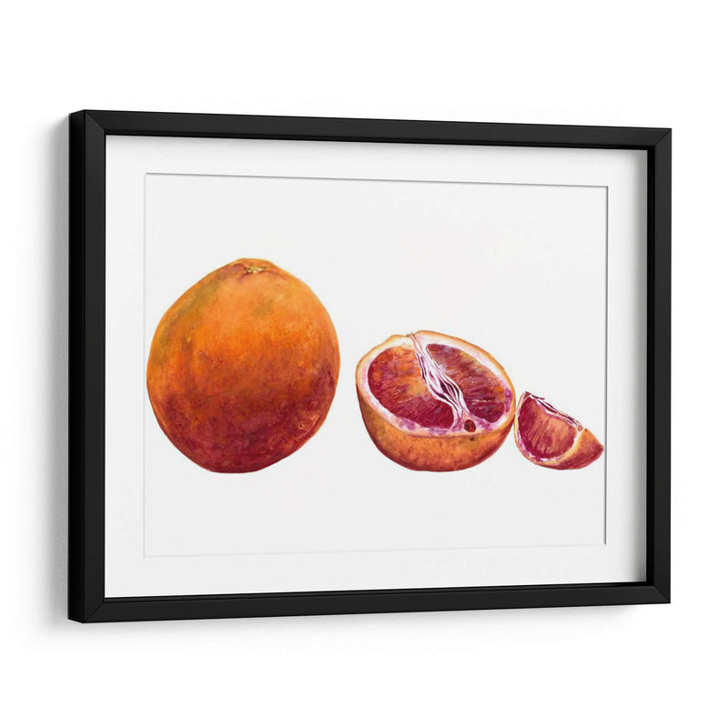 Acuarela Sanguínea Naranja - Michael Willett | Cuadro decorativo de Canvas Lab