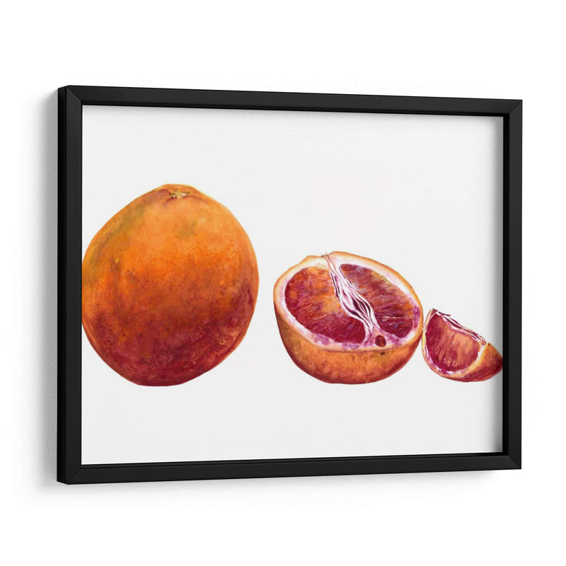 Acuarela Sanguínea Naranja - Michael Willett | Cuadro decorativo de Canvas Lab