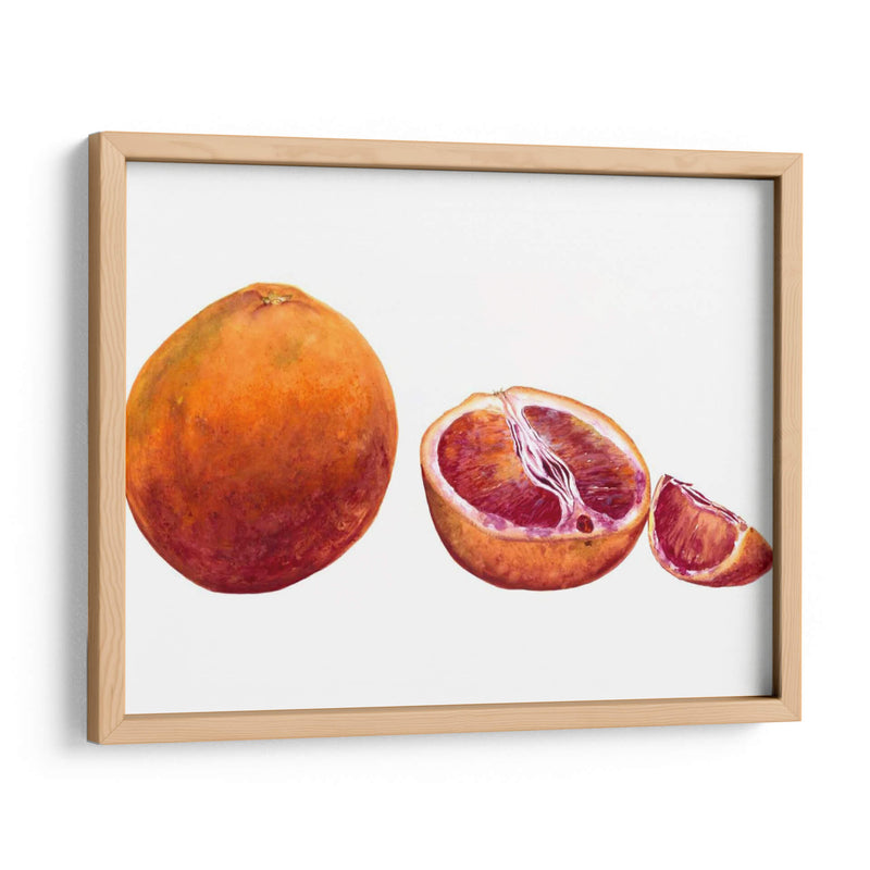 Acuarela Sanguínea Naranja - Michael Willett | Cuadro decorativo de Canvas Lab