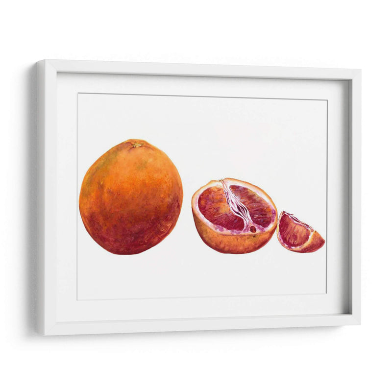 Acuarela Sanguínea Naranja - Michael Willett | Cuadro decorativo de Canvas Lab