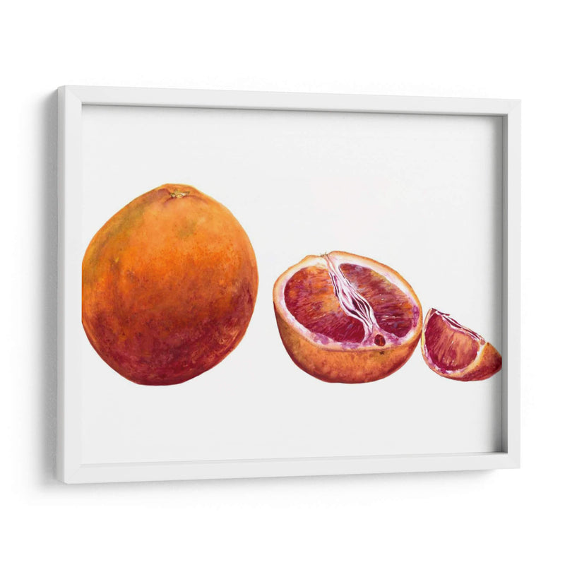 Acuarela Sanguínea Naranja - Michael Willett | Cuadro decorativo de Canvas Lab