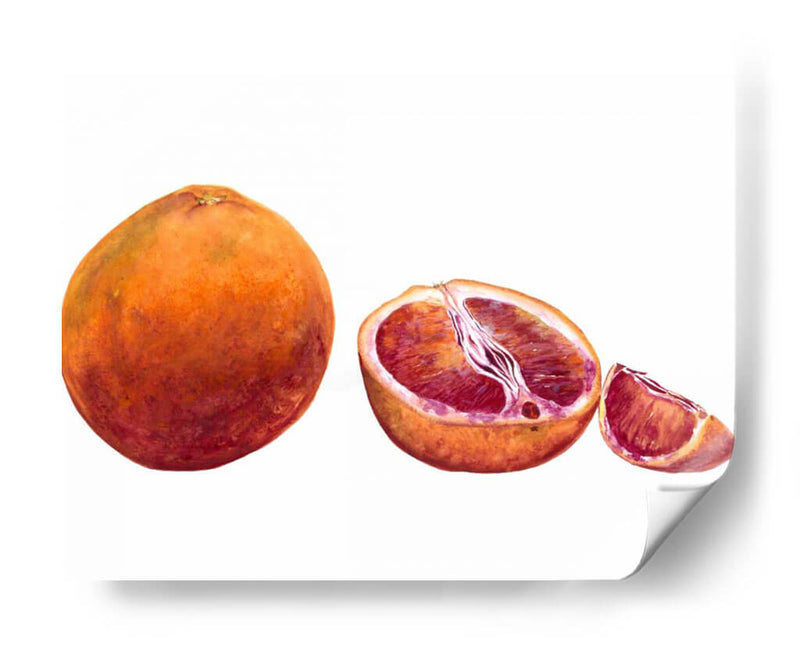 Acuarela Sanguínea Naranja - Michael Willett | Cuadro decorativo de Canvas Lab