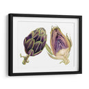 Acuarela Alcachofa - Michael Willett | Cuadro decorativo de Canvas Lab