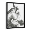 Instantánea De La Vida Silvestre- Caballo Ii - Naomi McCavitt | Cuadro decorativo de Canvas Lab