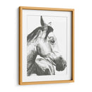 Instantánea De La Vida Silvestre- Caballo Ii - Naomi McCavitt | Cuadro decorativo de Canvas Lab