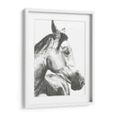 Instantánea De La Vida Silvestre- Caballo Ii - Naomi McCavitt | Cuadro decorativo de Canvas Lab