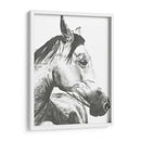 Instantánea De La Vida Silvestre- Caballo Ii - Naomi McCavitt | Cuadro decorativo de Canvas Lab