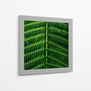 Mimosa pudica a detalle | Cuadro decorativo de Canvas Lab