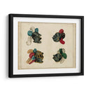 Art Heraldique Iv - Vintage Collection | Cuadro decorativo de Canvas Lab
