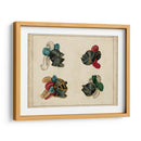 Art Heraldique Iv - Vintage Collection | Cuadro decorativo de Canvas Lab