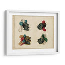 Art Heraldique Iv - Vintage Collection | Cuadro decorativo de Canvas Lab