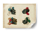 Art Heraldique Iv - Vintage Collection | Cuadro decorativo de Canvas Lab