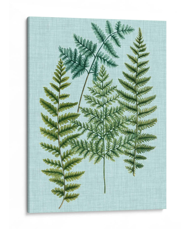 Spa Ferns Ii - Weinmann | Cuadro decorativo de Canvas Lab