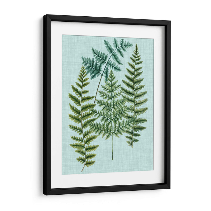 Spa Ferns Ii - Weinmann | Cuadro decorativo de Canvas Lab