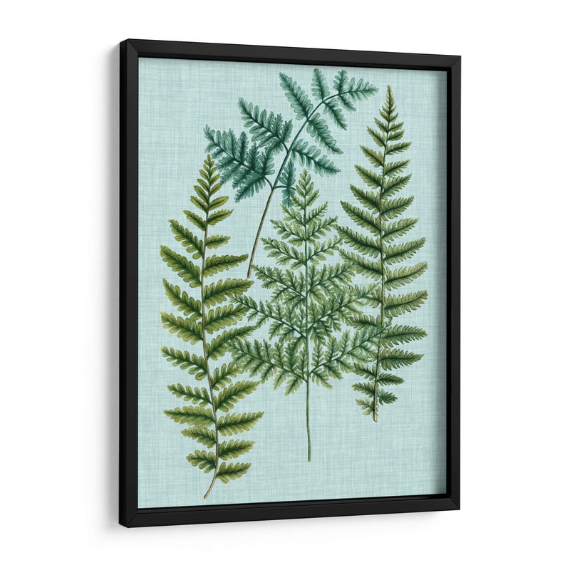 Spa Ferns Ii - Weinmann | Cuadro decorativo de Canvas Lab