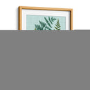 Spa Ferns Ii - Weinmann | Cuadro decorativo de Canvas Lab